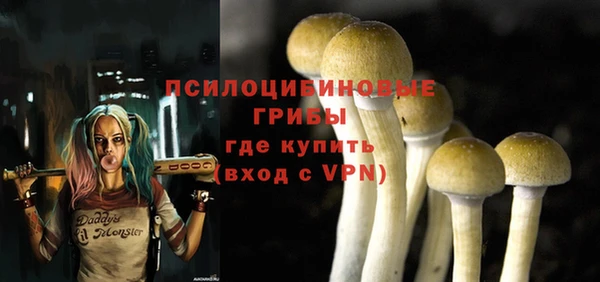 прущий лед Алзамай
