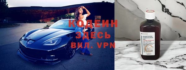 прущий лед Алзамай