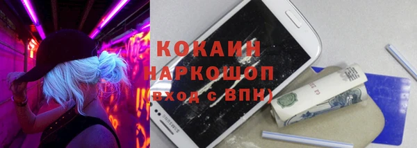 прущий лед Алзамай