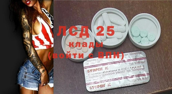 прущий лед Алзамай