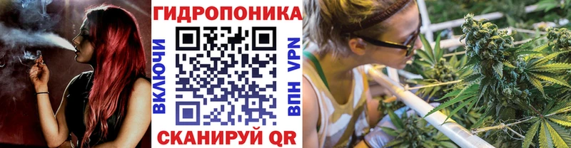 как найти закладки  Арамиль  Шишки марихуана THC 21% 